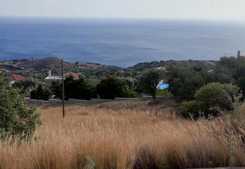 Ag. Paraskevi bei Triopetra Kreta, Agia Paraskevi: Grundstück im Süden zum Verkauf Grundstück kaufen